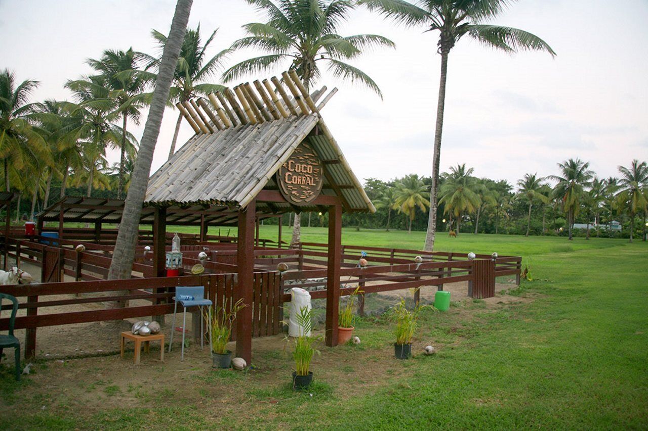 Coconut Bay Beach Resort & Spa All Inclusive Vieux Fort Saint Lucia Esterno foto